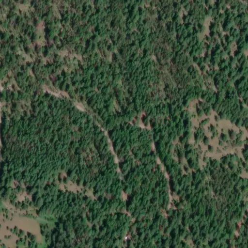Bird's eye view of the campground