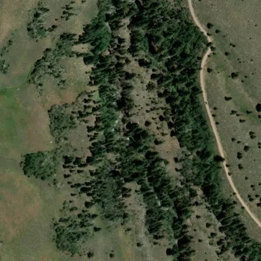 Bird's eye view of the campground