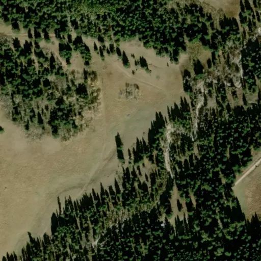 Bird's eye view of the campground