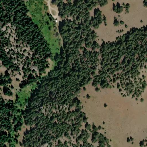 Bird's eye view of the campground