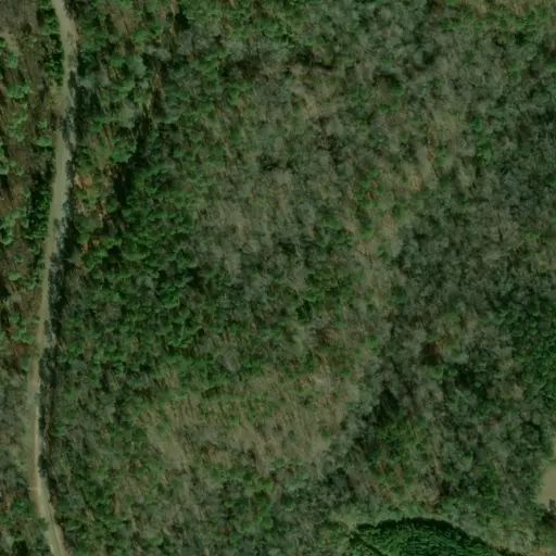 Bird's eye view of the campground