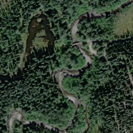 Bird's eye view of the campground
