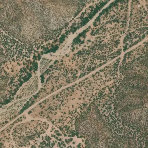 Bird's eye view of the campground