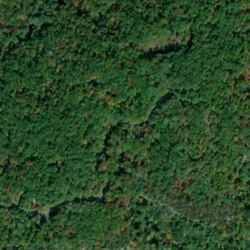 Bird's eye view of the campground