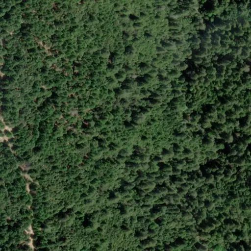 Bird's eye view of the campground