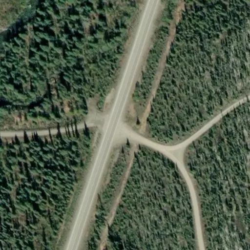 Bird's eye view of the campground
