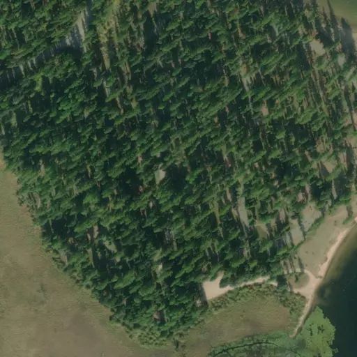Bird's eye view of the campground