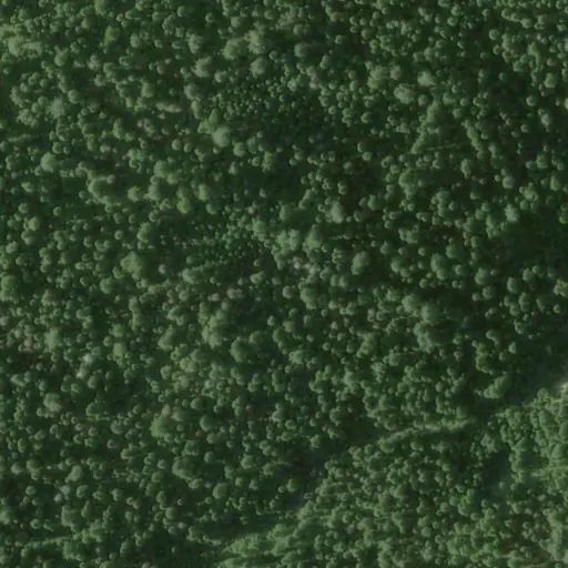 Bird's eye view of the campground