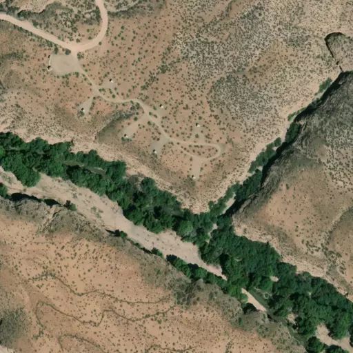 Bird's eye view of the campground