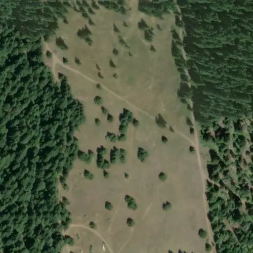 Bird's eye view of the campground