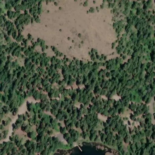 Bird's eye view of the campground