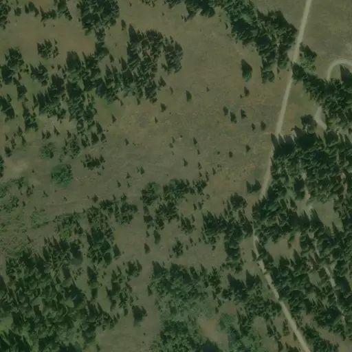 Bird's eye view of the campground