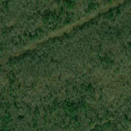 Bird's eye view of the campground