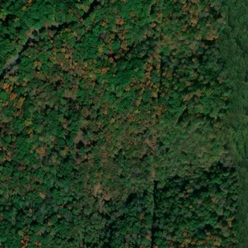 Bird's eye view of the campground