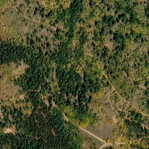Bird's eye view of the campground