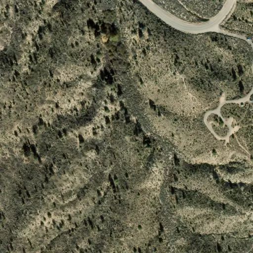 Bird's eye view of the campground