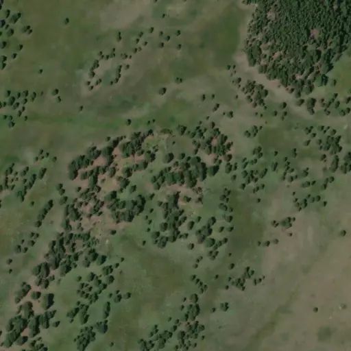 Bird's eye view of the campground