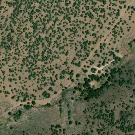 Bird's eye view of the campground