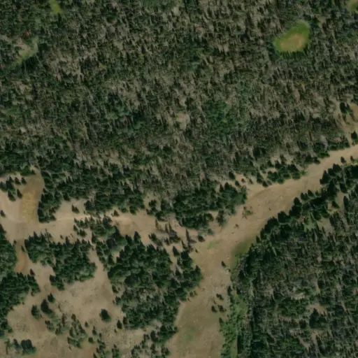 Bird's eye view of the campground