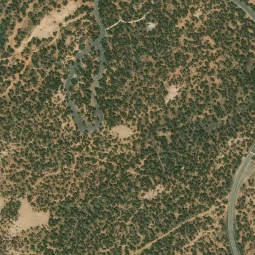 Bird's eye view of the campground