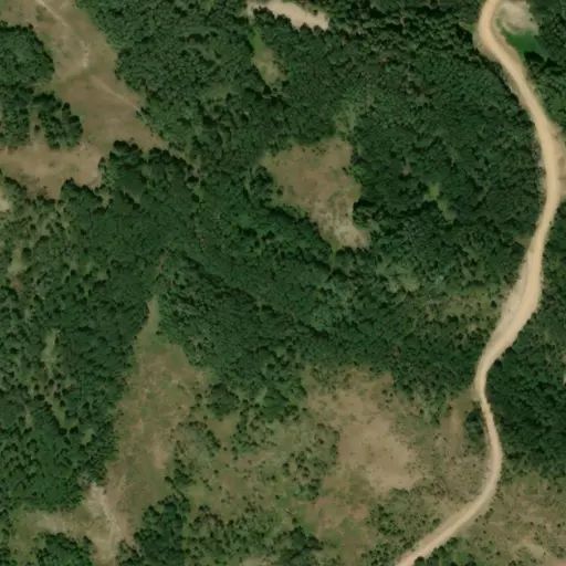 Bird's eye view of the campground