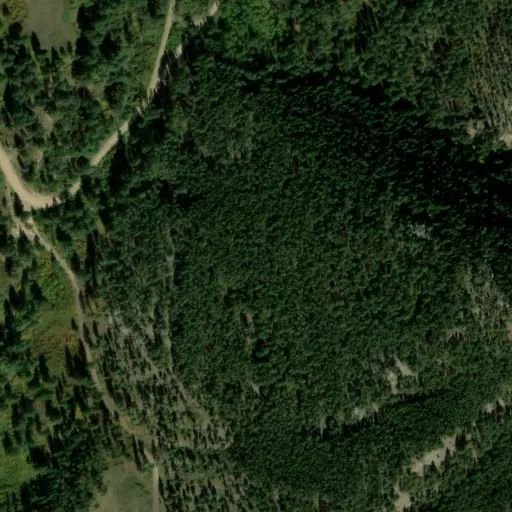 Bird's eye view of the campground