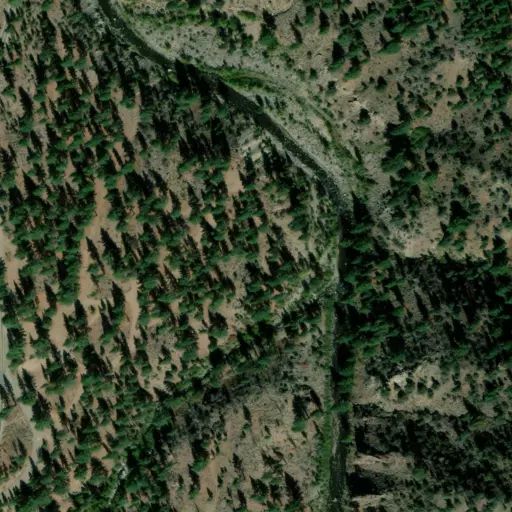 Bird's eye view of the campground