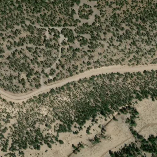Bird's eye view of the campground
