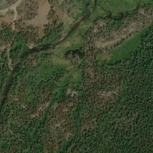 Bird's eye view of the campground