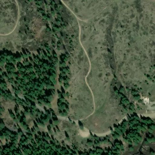 Bird's eye view of the campground