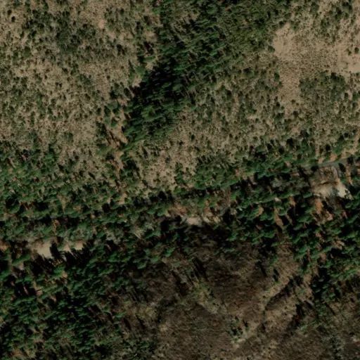 Bird's eye view of the campground