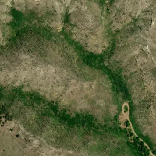 Bird's eye view of the campground