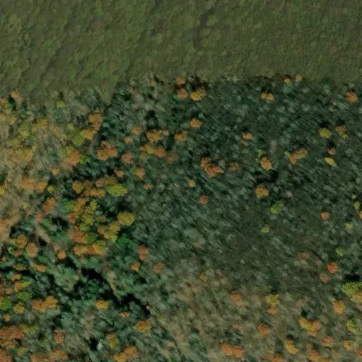 Bird's eye view of the campground
