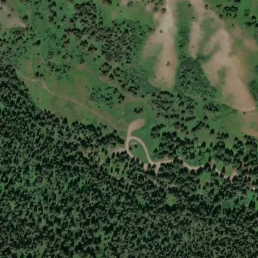 Bird's eye view of the campground