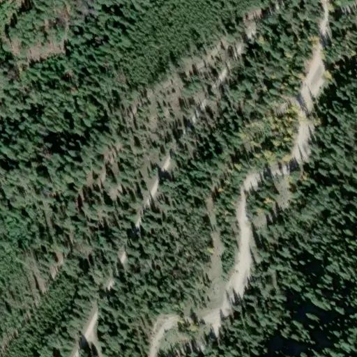 Bird's eye view of the campground