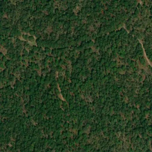 Bird's eye view of the campground