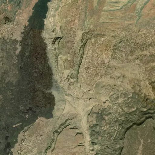 Bird's eye view of the park