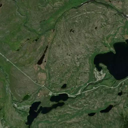 Bird's eye view of the park
