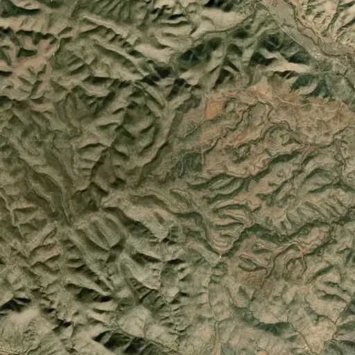 Bird's eye view of the park
