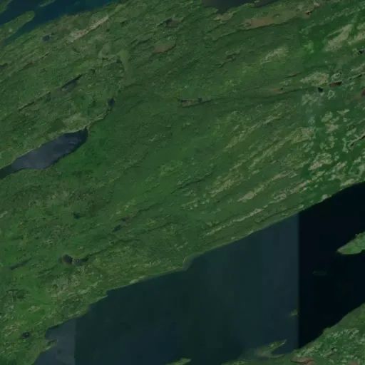 Bird's eye view of the park