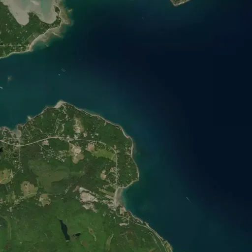 Bird's eye view of the park
