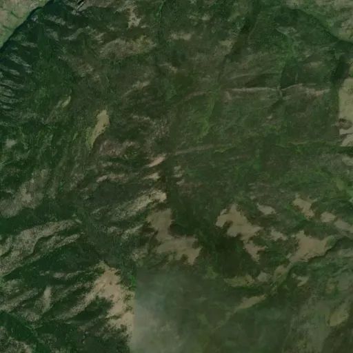 Bird's eye view of the park