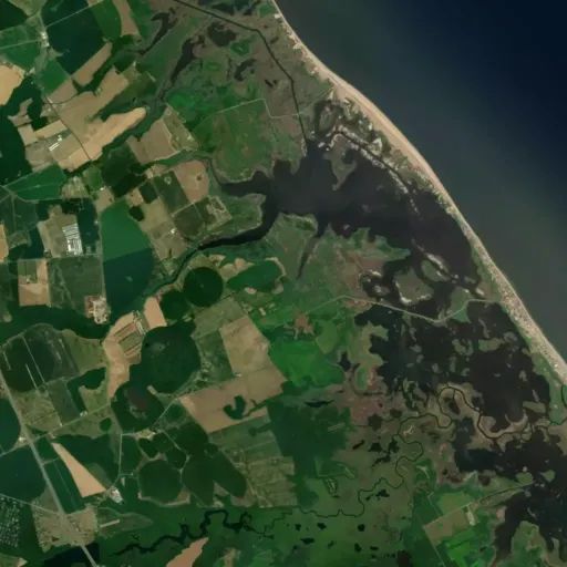 Bird's eye view of the park