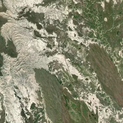 Bird's eye view of the park