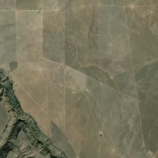 Bird's eye view of the park