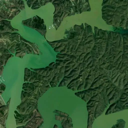 Bird's eye view of the park