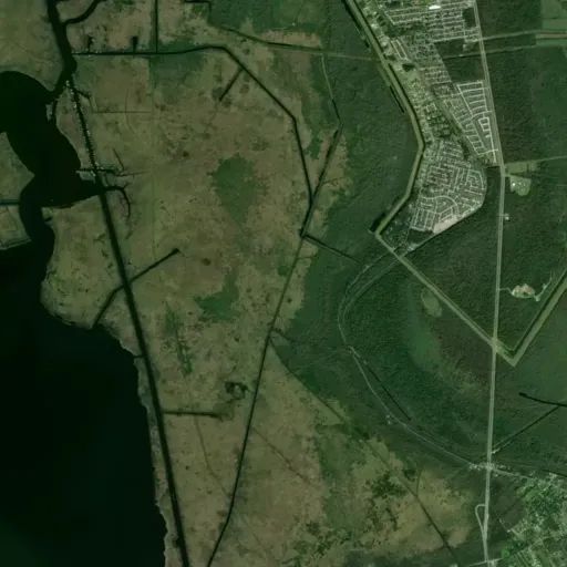 Bird's eye view of the park