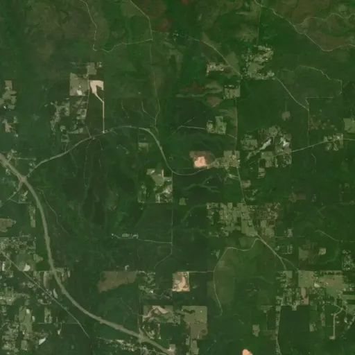 Bird's eye view of the park