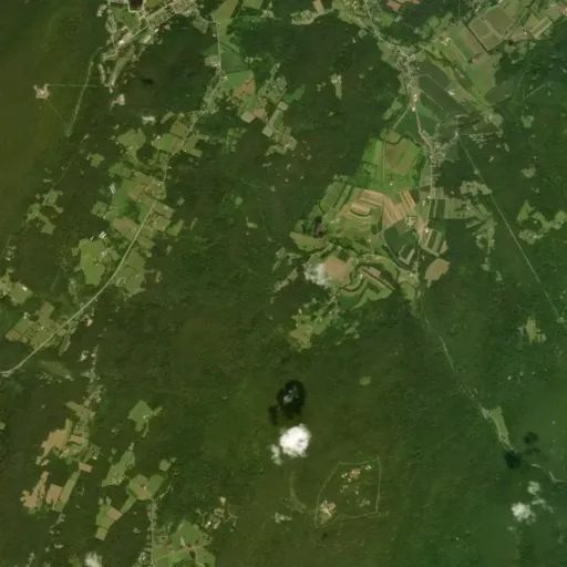 Bird's eye view of the park