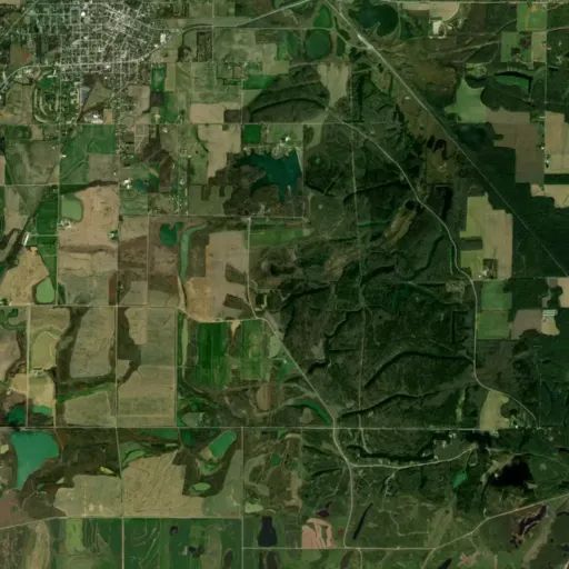 Bird's eye view of the park